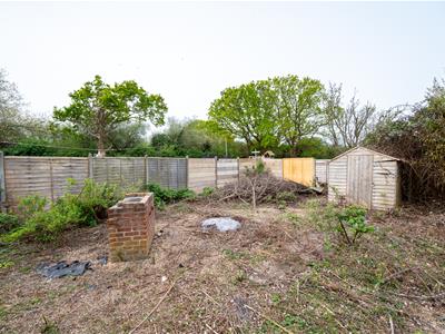 Picture 19
